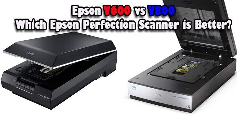 Epson V600 vs V800