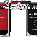 WD Red vs Black